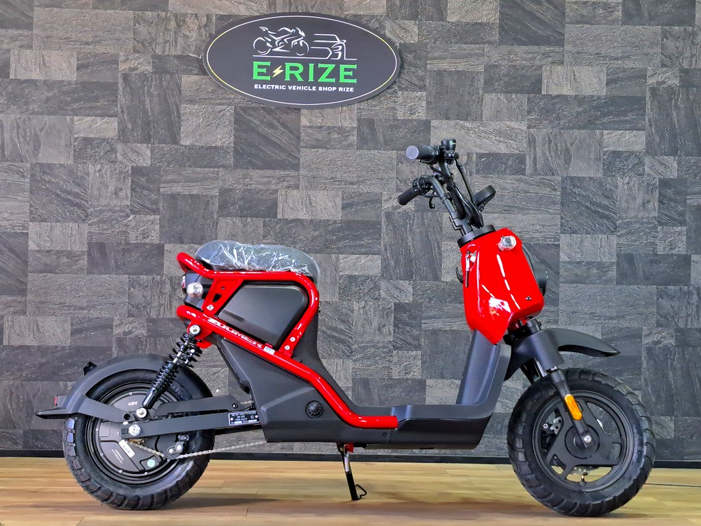 電動 ZOOMER-e